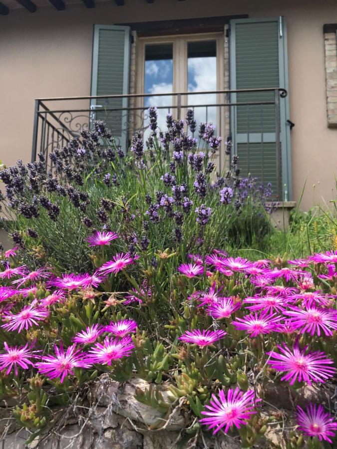 Agriturismo Collerisana سبوليتو المظهر الخارجي الصورة